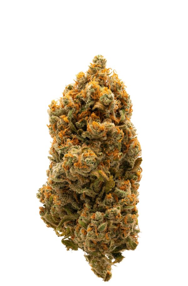 Jack Flash Strain