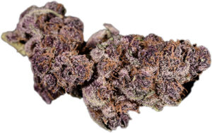 us-sativa_next-harvest_grimace-denversdankest-strains (1)