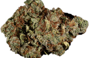us-sativa_the-health-center_tangerine-diesel-denversdankest-marijuanastrains (1)