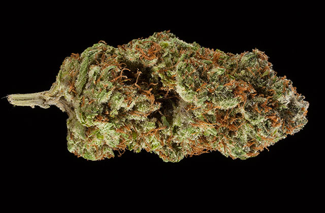 i_13_mmj_america_boulder_colorado_bubba-denversdankest-marijuana-strains
